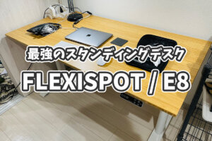 【FLEXISPOT／E8】流行りのスタンディングデスクをガチレビュー