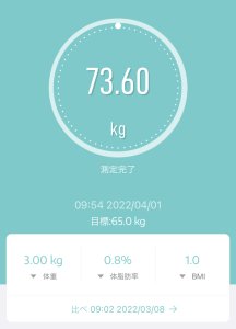 懸垂を毎日した成果と進捗【効果まとめ】「38日目：約一ヶ月の成果」